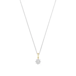 Brillant Anhänger Gold 585 bicolor