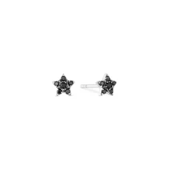 Schwarze Diamanten Ohrstecker "Stern" Weißgold 585